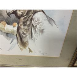 After Joan Beuche (South African 20th century) Eagles, set of six coloured prints (6)