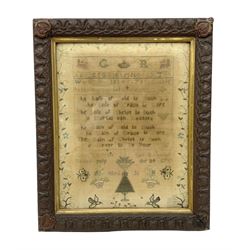 Late 18th century needlework sampler, worked with the alphabet and numbers above biblical verse and bird, flower and butterfly motifs within floral border, in carved glazed frame, L46cm W39cm