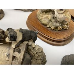 Leonardo Collection figures to include Spaniel, Border Collie, 'Nature Studies' and 'Farmyard Friends', a collection of figures including three owls a robin and a selection of farmyard scenes  