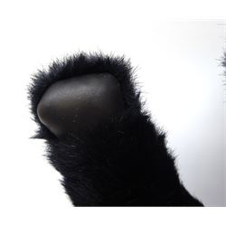 Steiff Replica 1903 Classic teddy bear, the golden mohair body with press squeaker and card tag No.000201 H21