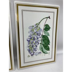 Two Royal Worcester Botanical Studies wall plaques, Wistaria and Potentilla, H26cm