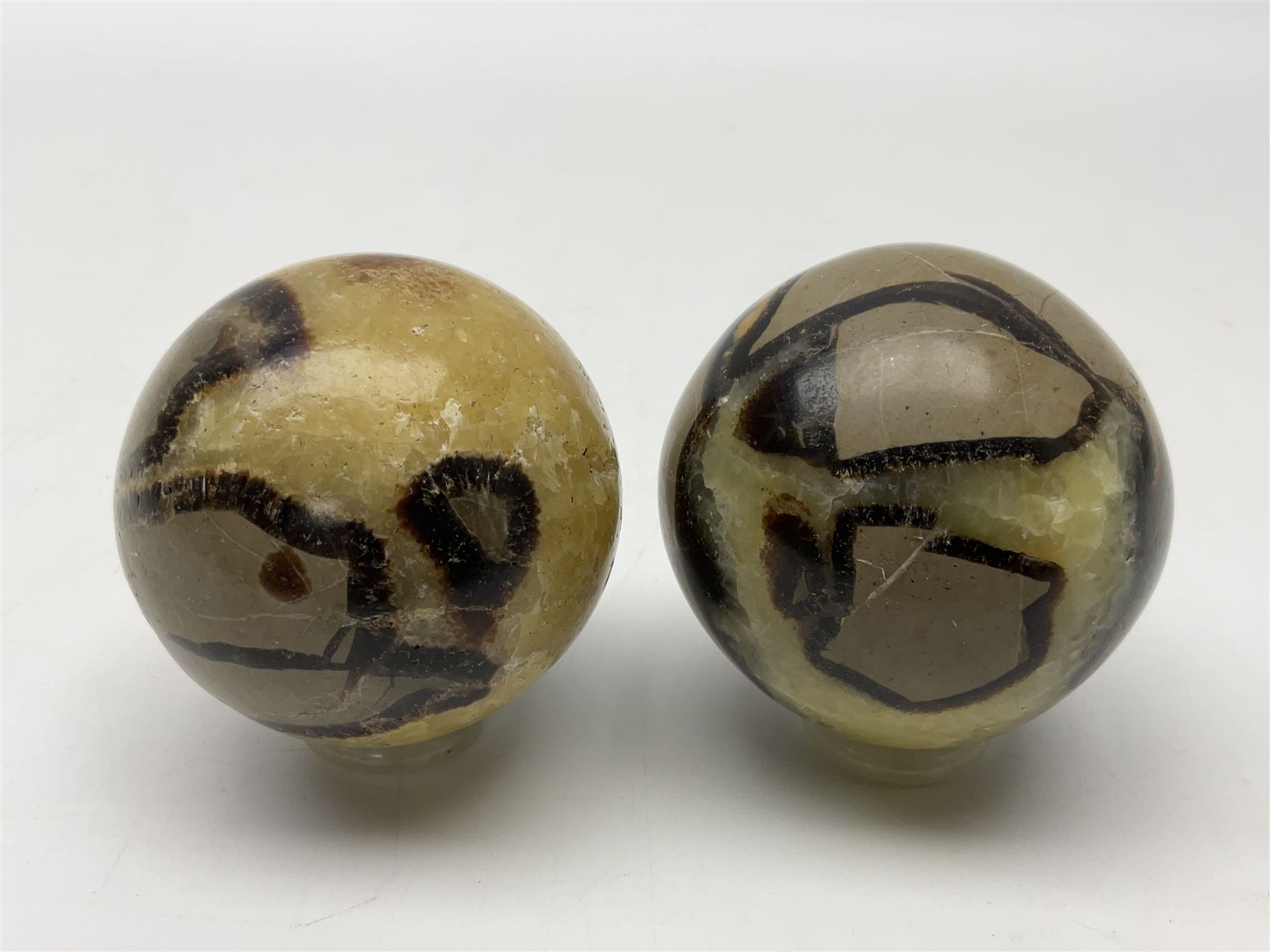 Pair of septarian spheres, polished, with a calcite centre and argonite/siderite lines within limestone rock, D6cm
