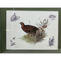 After Alan Ellison, limited edition colour print 'Working Springers' no.178/750 signed on the mount 43 x 59cm; and seven colour prints after Nigel Hemming of game birds and gun dogs; all framed (8)