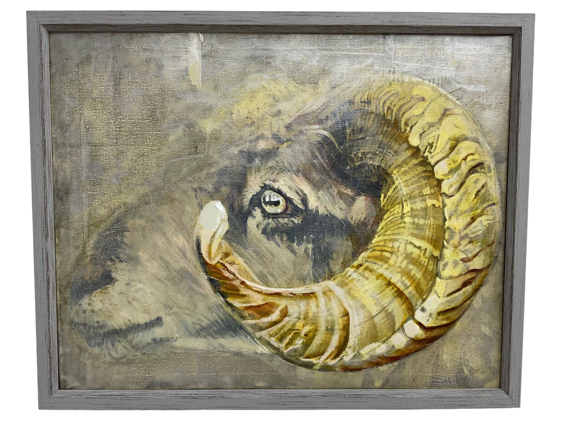 Sarah Williams (British 1961-): Ram's Head, Oil on Canvas.

Sarah graduated from Norwich School of Art and Design in 1984 with a first-class BA Hons in Fine Art and, having won the Stowell's Trophy, was awarded an unconditional place to study MA Painting at the Royal Academy. She comes from a family of creative talent - her father, Reg Williams, was a member of the York Four. 

She has exhibited in galleries around England and has had her own businesses in Interior Design, Architectural Design, Furniture Design and Jewellery. Sarah has recently returned to painting full-time and, having used a multitude of mediums in her creative work, now confesses she is an oil-paint addict. It is 