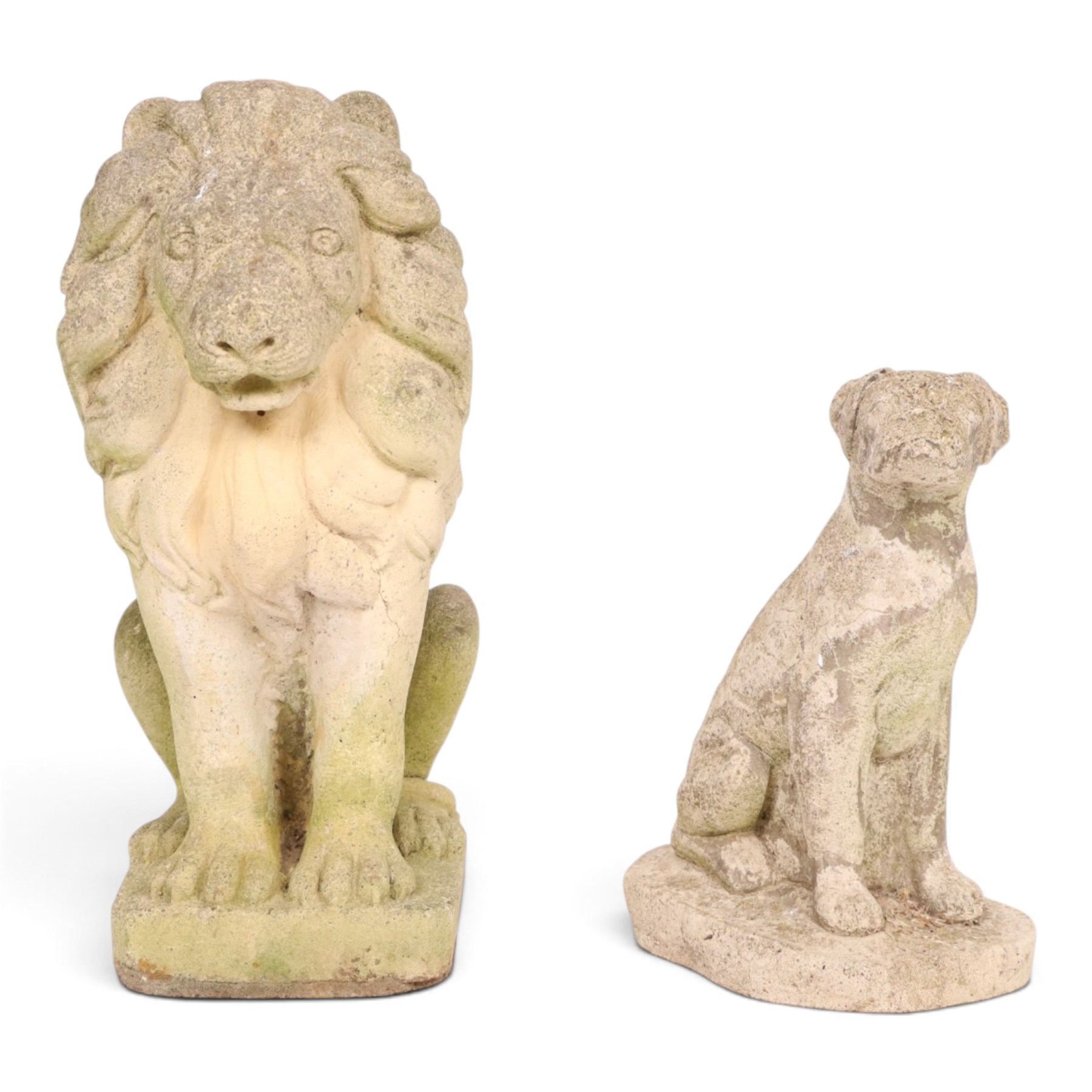 Cast stone seated lion together with a cast stone bulldog, lion H46cm