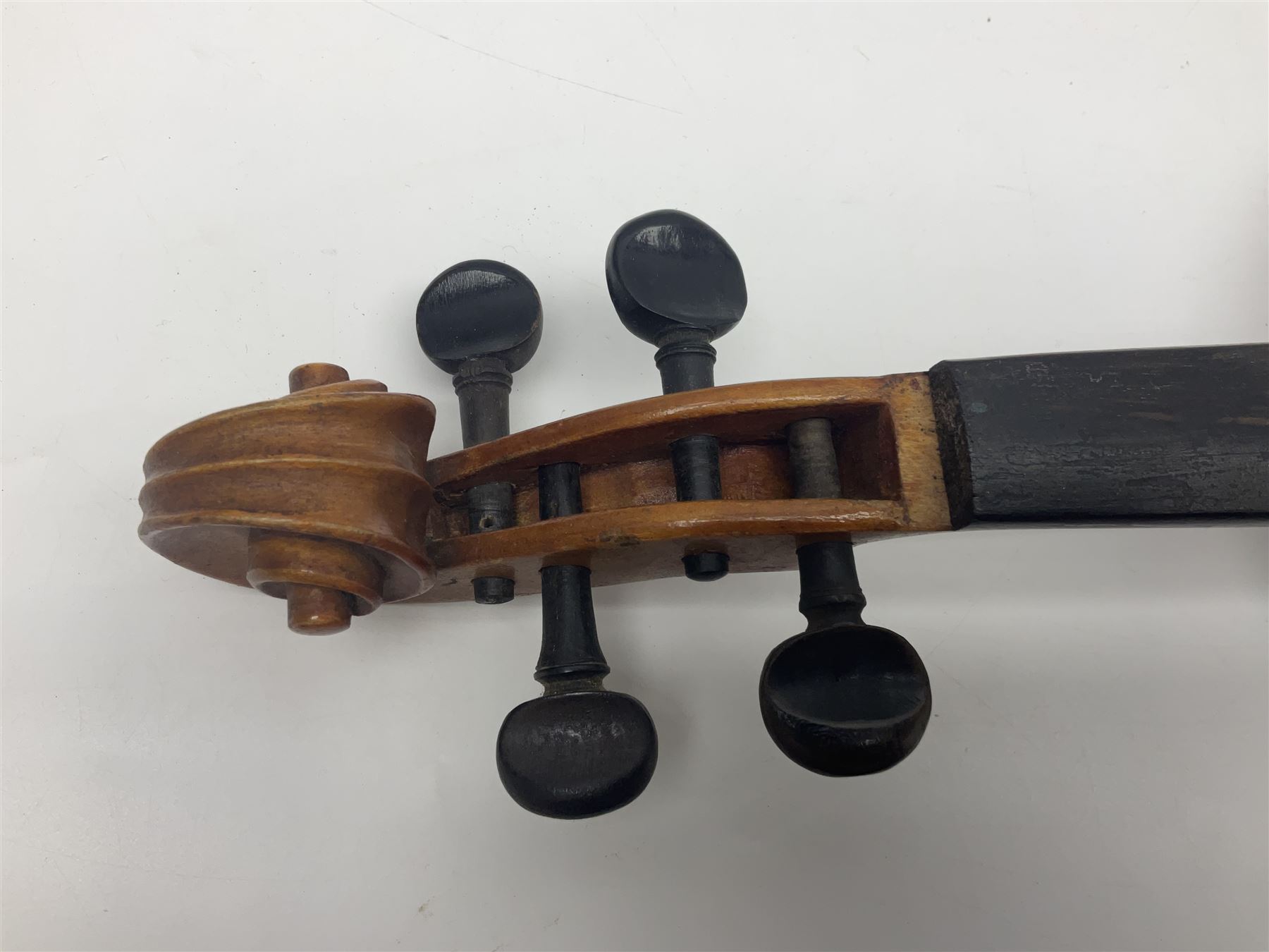 German violin c1900 stamped Stainer with 36cm two-piece maple back and ribs and spruce top L59.5cm overall; in simulated reptile skin carrying case