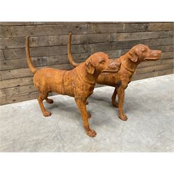 Pair of life-size heavy cast iron garden Hunting dogs