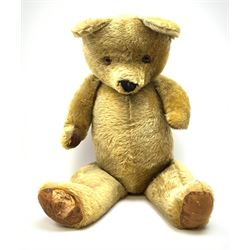 Very large Irish Tara bear c1950s with p