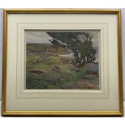 Henry Silkstone Hopwood (Staithes Group 1860-1914): Sheep Grazing above Runswick Bay, watercolour signed and dated 1901, 27.5cm x 34.5cm
Provenance: private collection; Christopher Cone Collection; with Peter Haworth, Milnthorpe, Cumbria, 'Staithes Group' exhibition Fine Art Society London, Whitby & Edinburgh