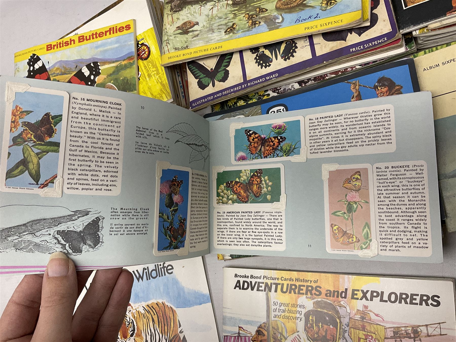 Over eighty trade card albums by Brooke Bond, Lyons, PG Tips, Hornimans, Ty-Phoo etc including some duplicates; and large quantity of loose trade cards