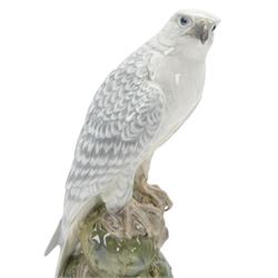 Royal Copenhagen, Icelandic Falcon no 1661, with printed mark beneath, H40cm   