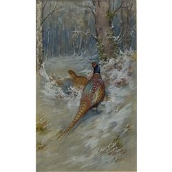 James Stinton (British 1870-1961): Pheasants and Grouse in Winter Landscapes, pair watercolours heightened in white signed 28cm x 16.5cm (2)