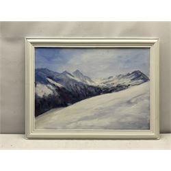 Neil Tyler (British 1945-): Alpine Scene, oil on board signed 49cm x 69cm