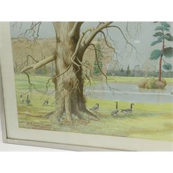 P Swayne (British 20th century): Geese in a River Landscape, oil on panel signed and dated 1970, 64cm x 144cm