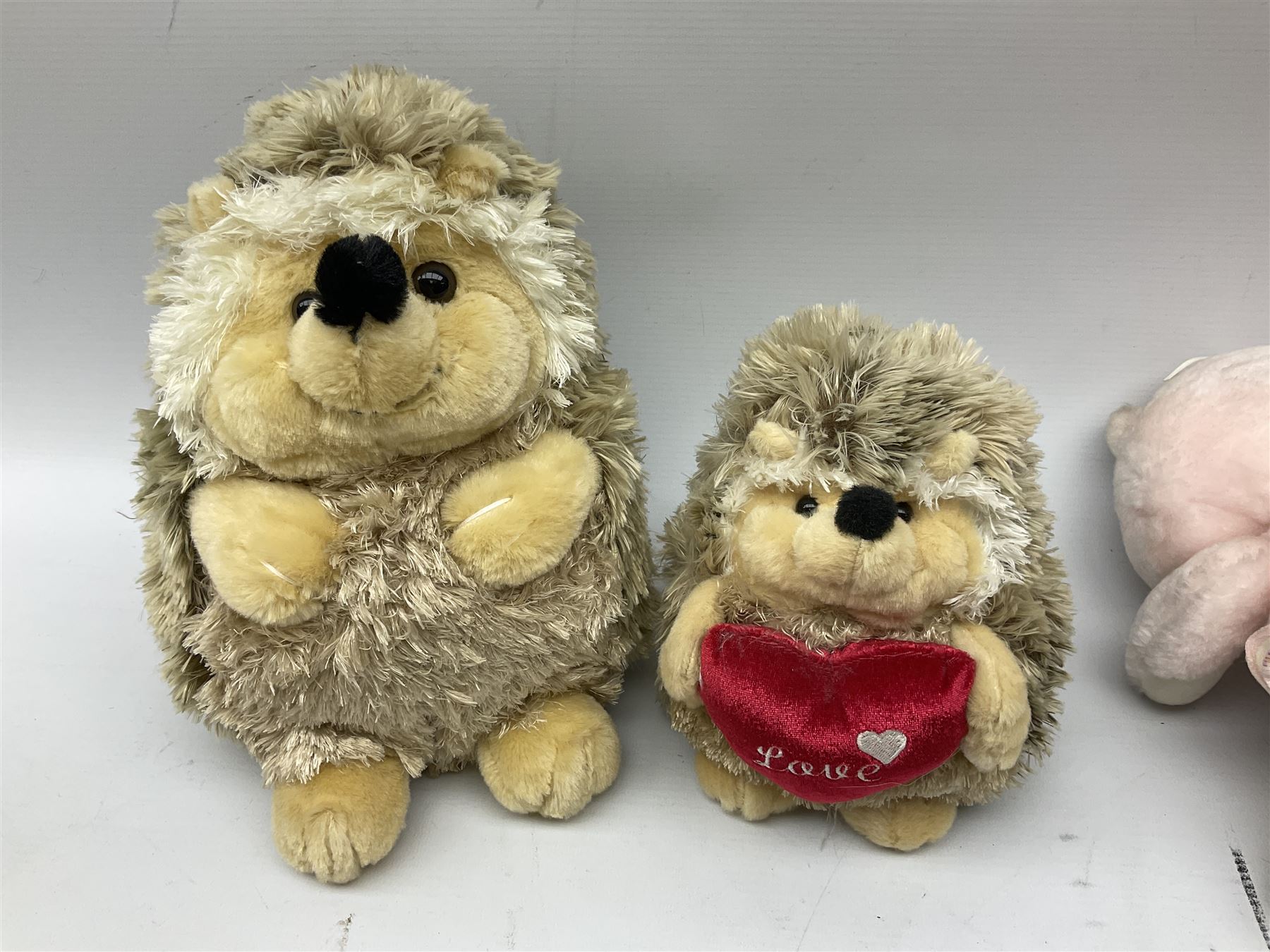 Ten soft tots including Chad Valley Lenny the Lion; Snoopy type dog; Fluffy Hedgehogs; pink Care Bear; souvenir bears for Niagara Falls, Benjamin Franklin and Andre Rieu; Rocky Mountaineer Traindriver; knitted Mrs. Tiggy-Winkle etc; all unboxed (10)