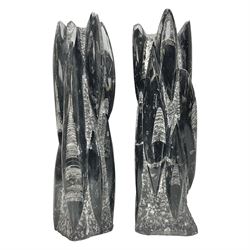 Pair of Orthoceras fossil towers, age: Devonian period, location: Morocco, larger tower, H33cm