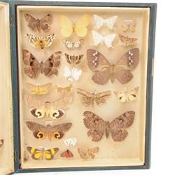 Entomology: Victorian storebox of World Moths, with approximately nine-five  20th century fourteen specimens, with attached data labels, all pinned, the storebox designed to look like two books when closed, storebox shut H33cm, L28cm
