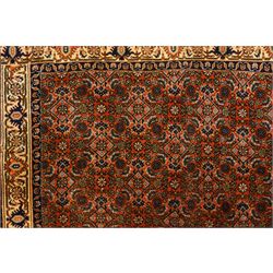 North West Persian Bidjar hand-knotted runner, terracotta field with a repeating mahi design of stylized rosettes and angular floral motifs within a lattice incorporating navy and ivory highlights, ivory principal border with a continuous angular vine of palmettes and serrated leaves, flanked b narrow guard brdoers, with cotton fringe ends 