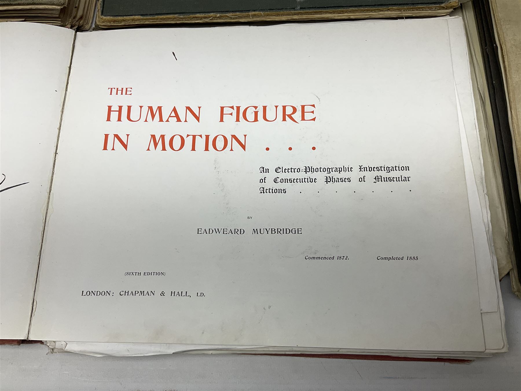 Muybridge, Eadweard; The Human Figure in Motion, London, Chapman & Hall Ld, Art, Wright, J Wright; The Sculpture and Art Students' Guide to the Proportions of the Human form, plates reproduced by John Sutcliffe, Luard L.D; Horse and Movement, London Cassell and Company ltd, with eight plates in colour and twenty-four in half-tone, together with other folious    