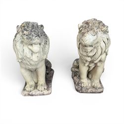 Pair of cast stone garden lions, seated on rectangular plinths
