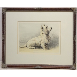  West Highland Terrier, etching after Herbert Thomas Dicksee (British 1862-1942) initialled in the plate 24cm x 32cm  