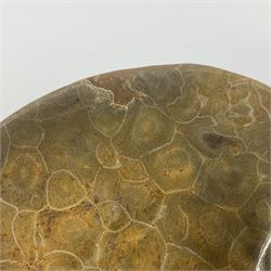 Fossilised coral dish in the form of a heart, D13cm