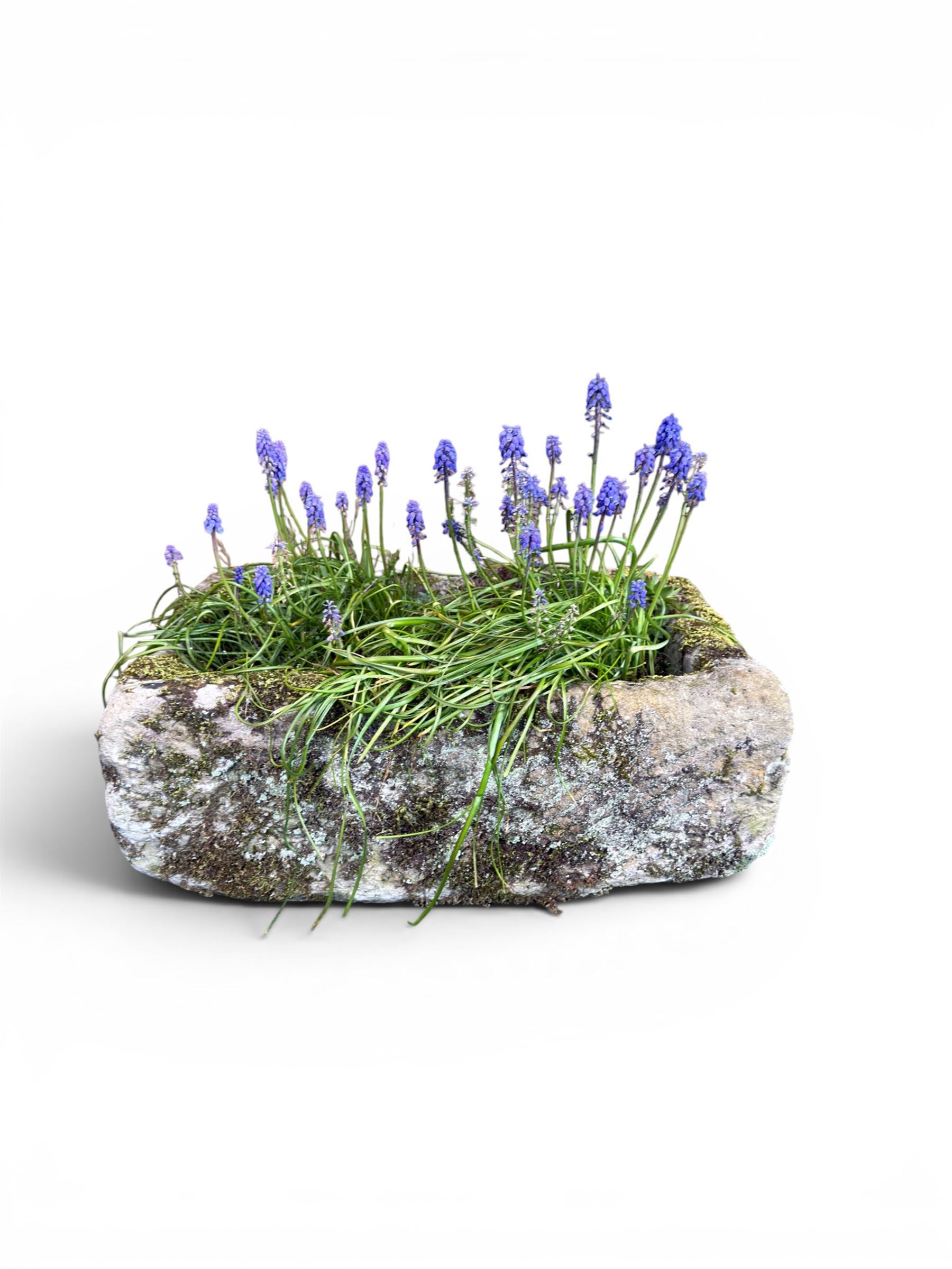 19th century weathered hewn stone planter of rectangular form, planted