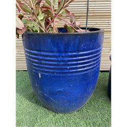 Set of five different size glazed planters  - THIS LOT IS TO BE COLLECTED BY APPOINTMENT FROM DUGGLEBY STORAGE, GREAT HILL, EASTFIELD, SCARBOROUGH, YO11 3TX