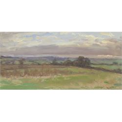 Neil Tyler (British 1945-): 'Vale of Pickering', oil on board signed, with a preparatory sketch verso 23cm x 47cm