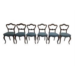 Set six 19th century rosewood dining chairs, shaped cresting rail with carved flowerhead and scrolling design, central rail with cartouche carving, seat upholstered in blue fabric raised on cabriole supports 