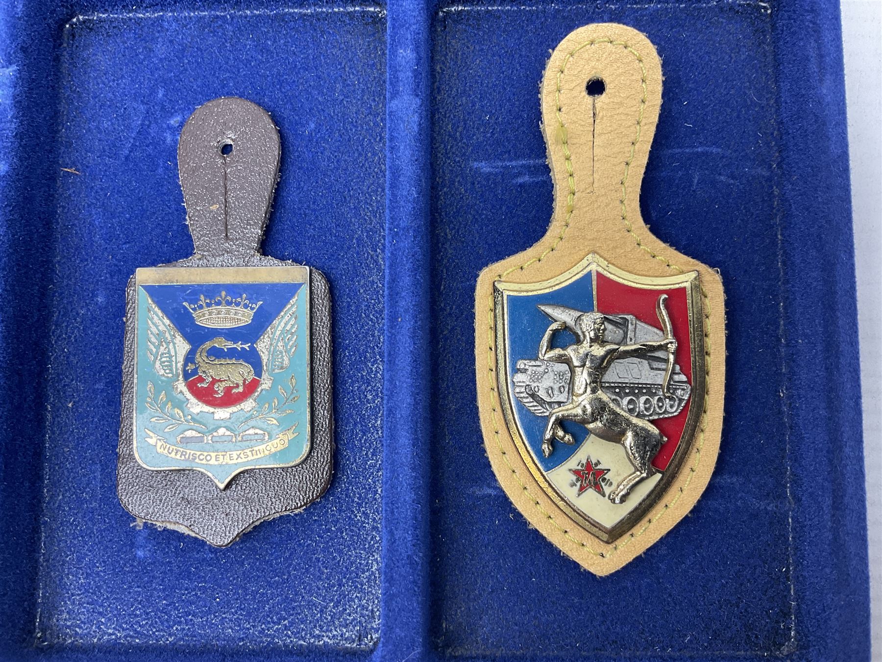 Twelve French military metal badges mounted on leather fobs including Legion, Artillery, Parachutist, Air Force, Infantry etc