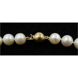 Single strand cultured white pearl necklace, on 9ct gold clasp stamped 375