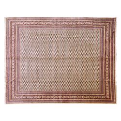 North West Persian Boteh-Mir hand-knotted rug, madder red field decorated with an all-over...