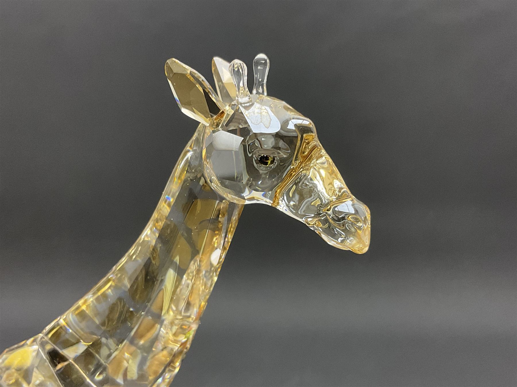 Swarovski Crsytal Society coloured animals, comprising zebra, giraffe and water buffalo, tallest H17.5cm