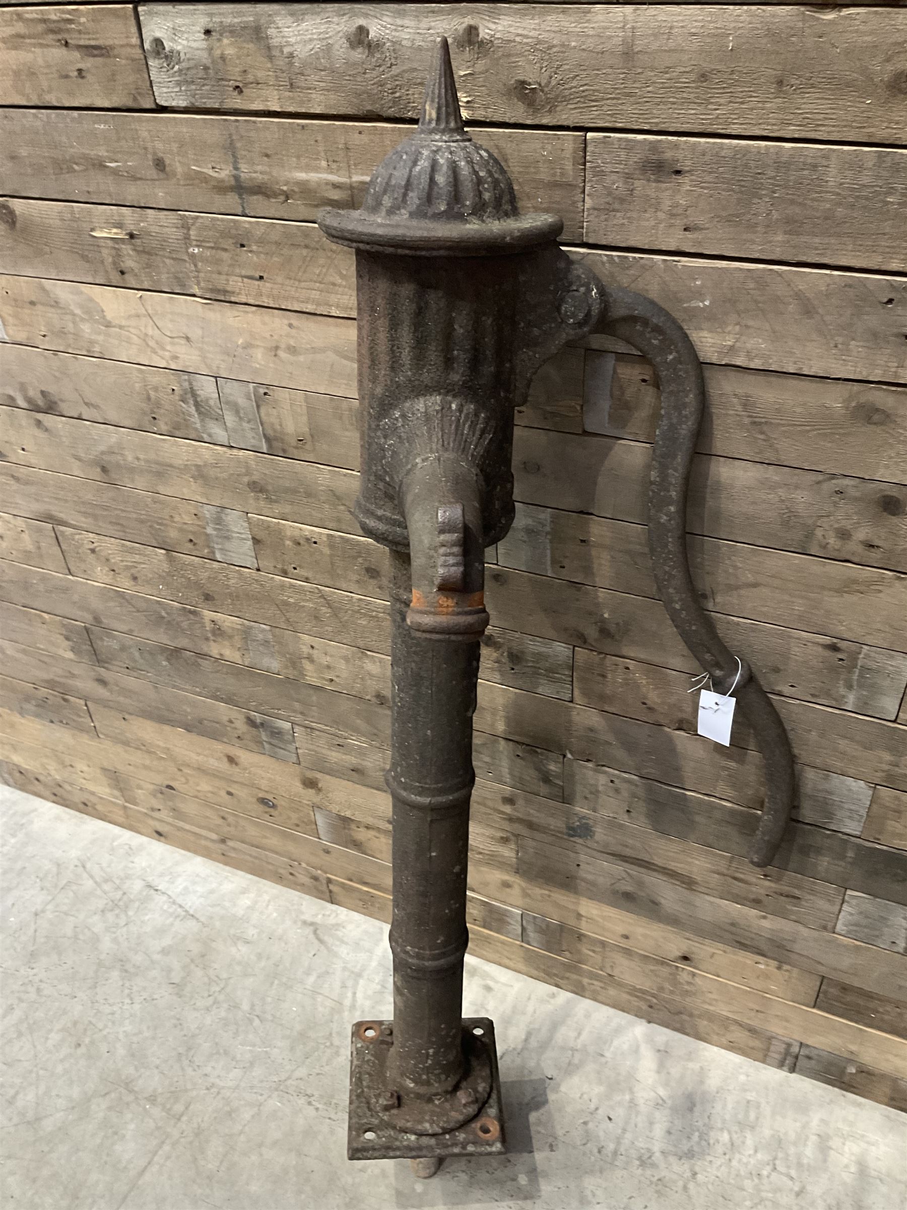 19th century cast iron water pump, lion crest with registration mark