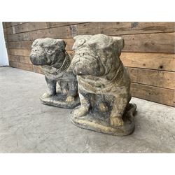 Pair of cast stone garden British bulldogs, on shaped plinths