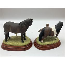 Five Border Fine Arts figure groups, comprising Appaloosa A1463, Shetland Mare & Foal A2690, Exmoor Pony Mare & Foal A3257, Welsh Mountain Pony A2007 and another bay pony 