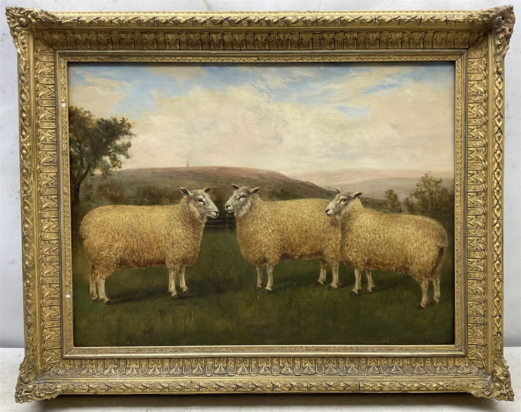 William Henderson of Whitby (British 1844-1904): Prize Sheep in a