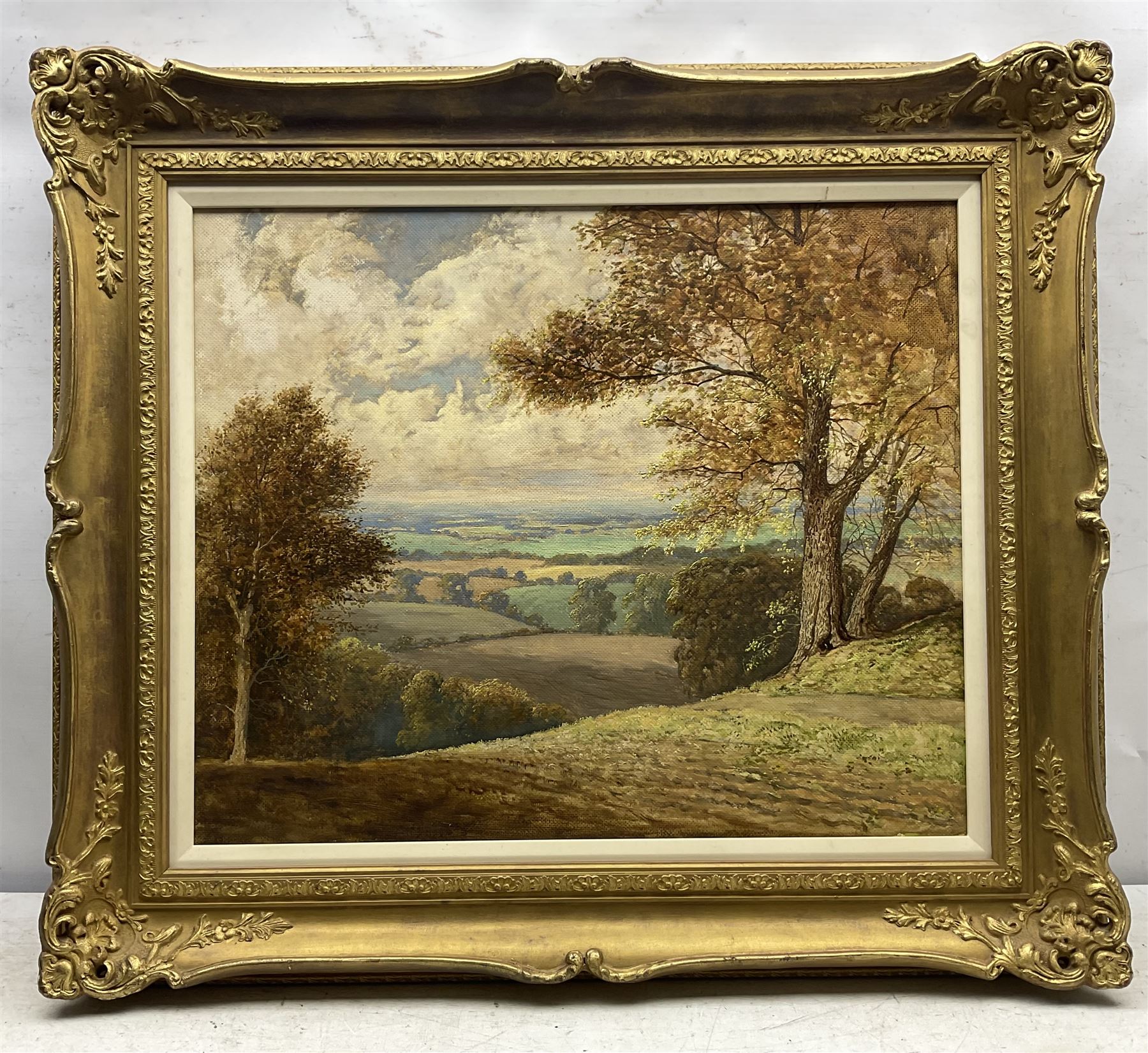 David Mead (British 1906-1986): Maidstone Landscape, oil on board signed 49cm x 59cm 