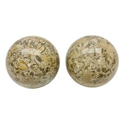 Pair of fossilised coral spheres, D12cm