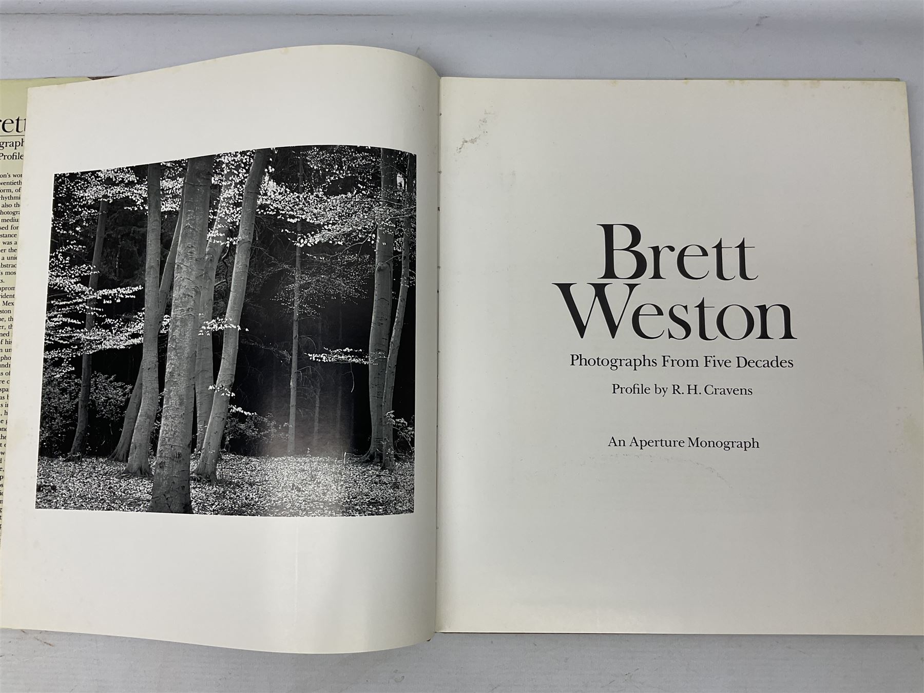 Fourteen assorted photography and art reference books, to include Edvard Munch, Rodin, Brett Weston, Ansel Adams, etc