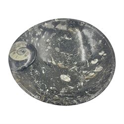 Circular dish with a raised goniatite, with orthoceras and goniatite inclusions, age: Devonian period, location: Morocco, D22cm, H5cm
