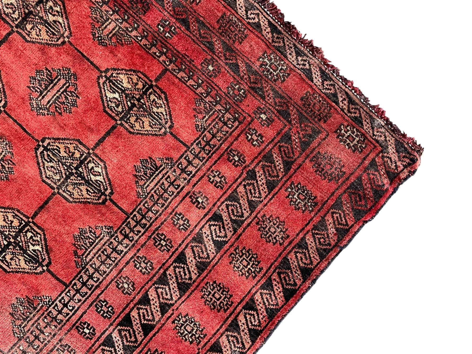Afghan Bokhara red ground rug, the field decorated with three rows of Gul motifs, within multiple band borders decorated with trailing hook and geometric motifs 