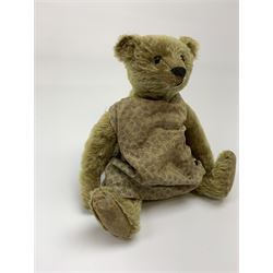 Early 20th century German Steiff teddy bear c1910 with wood wool filled humped back mohair body, swivel jointed head with black boot button eyes and horizontally stitched black nose and mouth, FF metal button to left ear, jointed elongated limbs with felt paw pads and black stitched claws H13