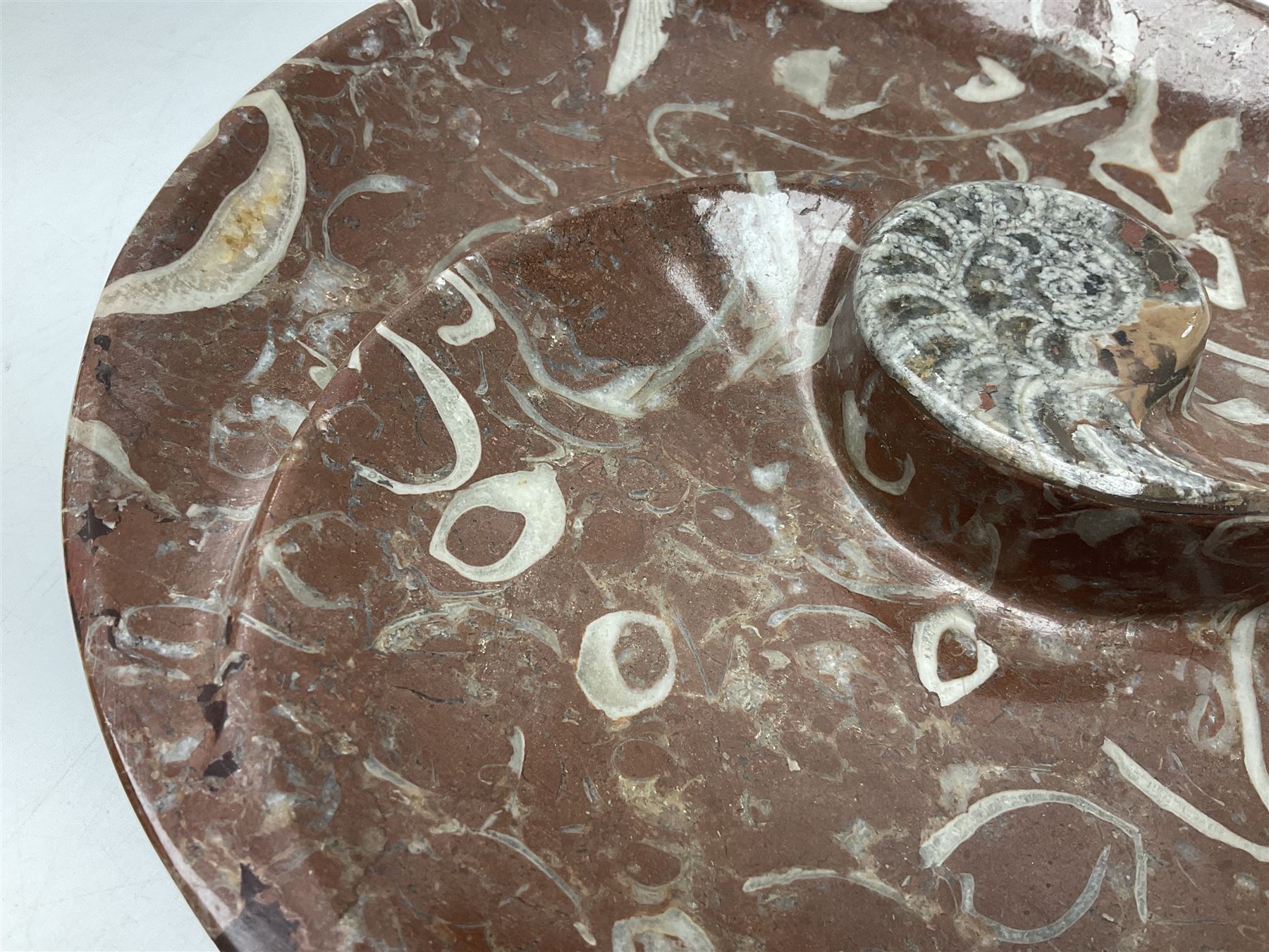 Large circular dish with a raised Goniatite to the centre and Orthoceras inclusion, age: Devonian period, location: Morocco, D30cm