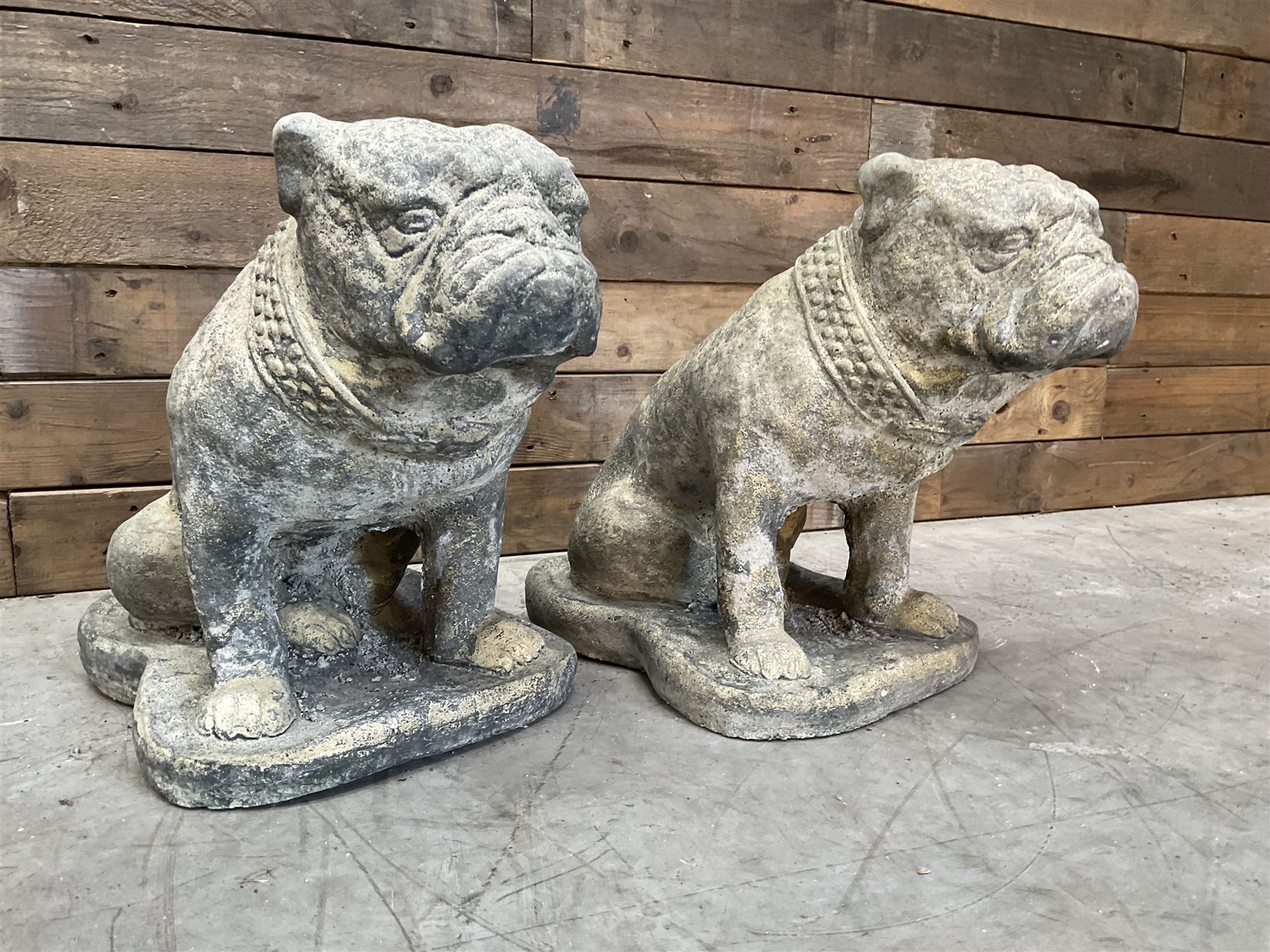 Pair of cast stone garden British bulldogs, on shaped plinths