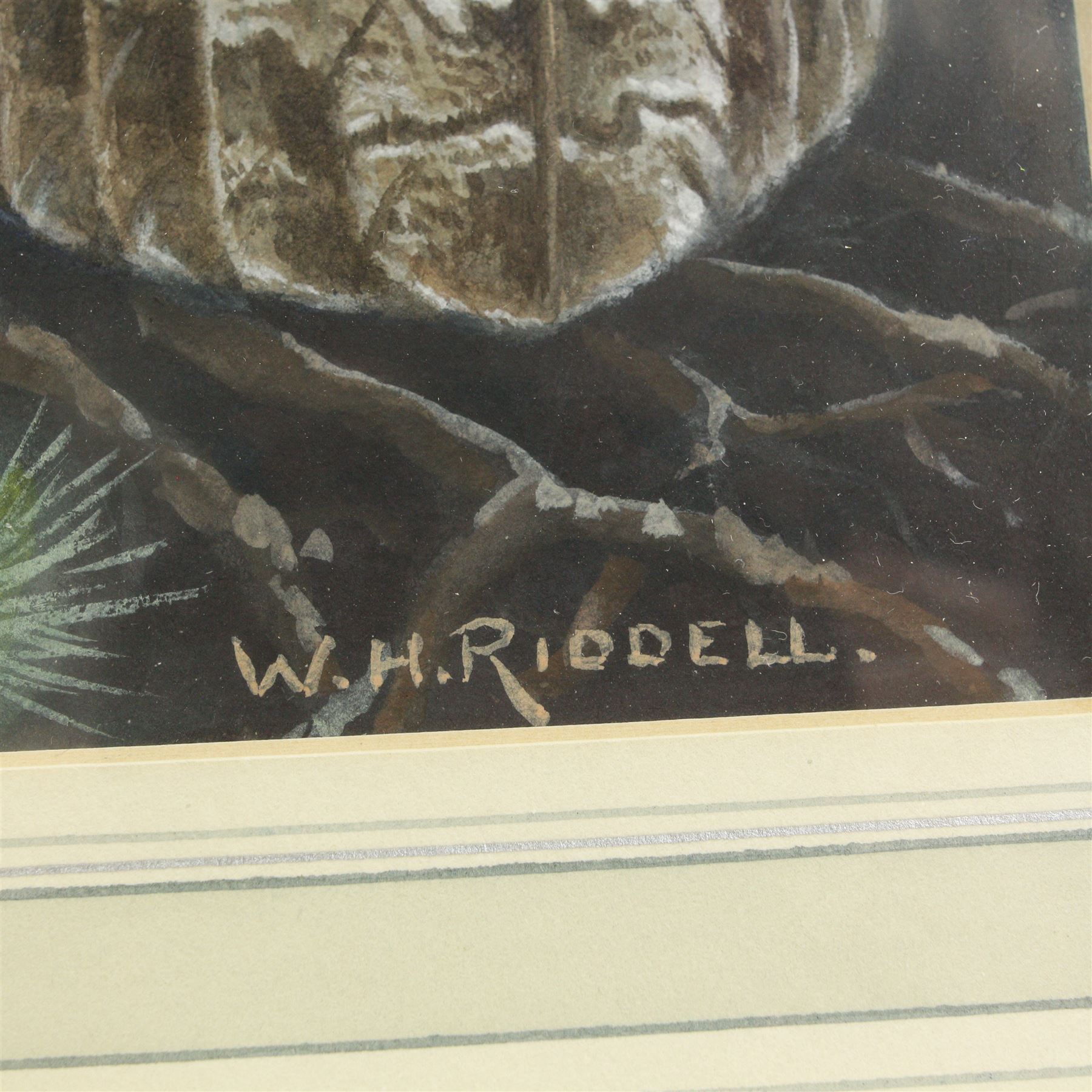 William Hutton Riddell (British 1880-1947): Owl with Mouse and Birds in a Birch Tree, pair watercolours and gouache signed  36cm x 22cm (2)