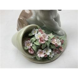 Six Lladro figures, comprising Naughty Dog no 4982, Best Friend 7620 and My Buddy no 7609, Kitty Confrontation no 1442, It Wasn't Me no 7672 and Rabbit Eating no 4772, three with original boxes, largest example H22cm