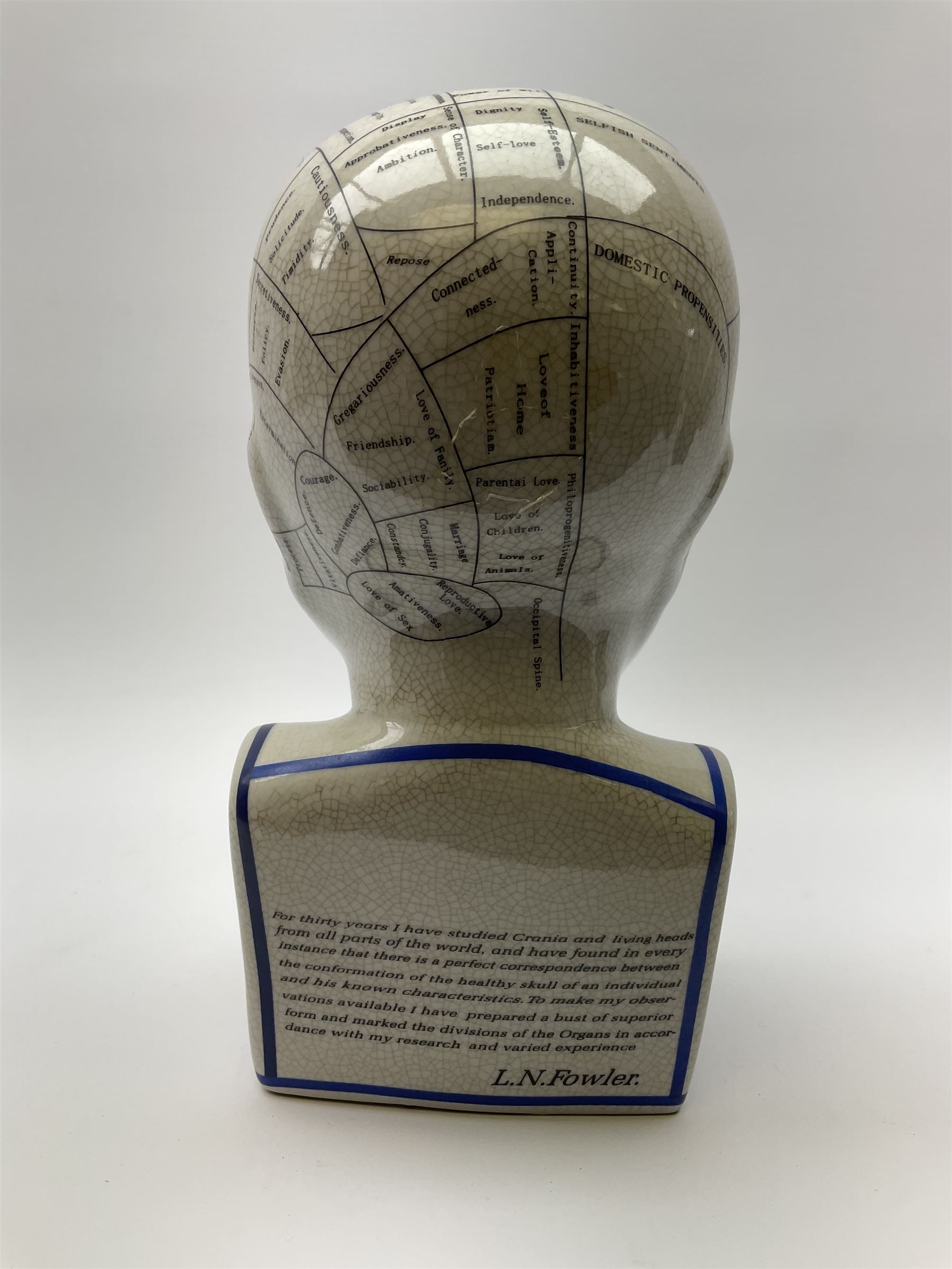 A Phrenology head detailed L.N. Fowler, H27.5cm. 