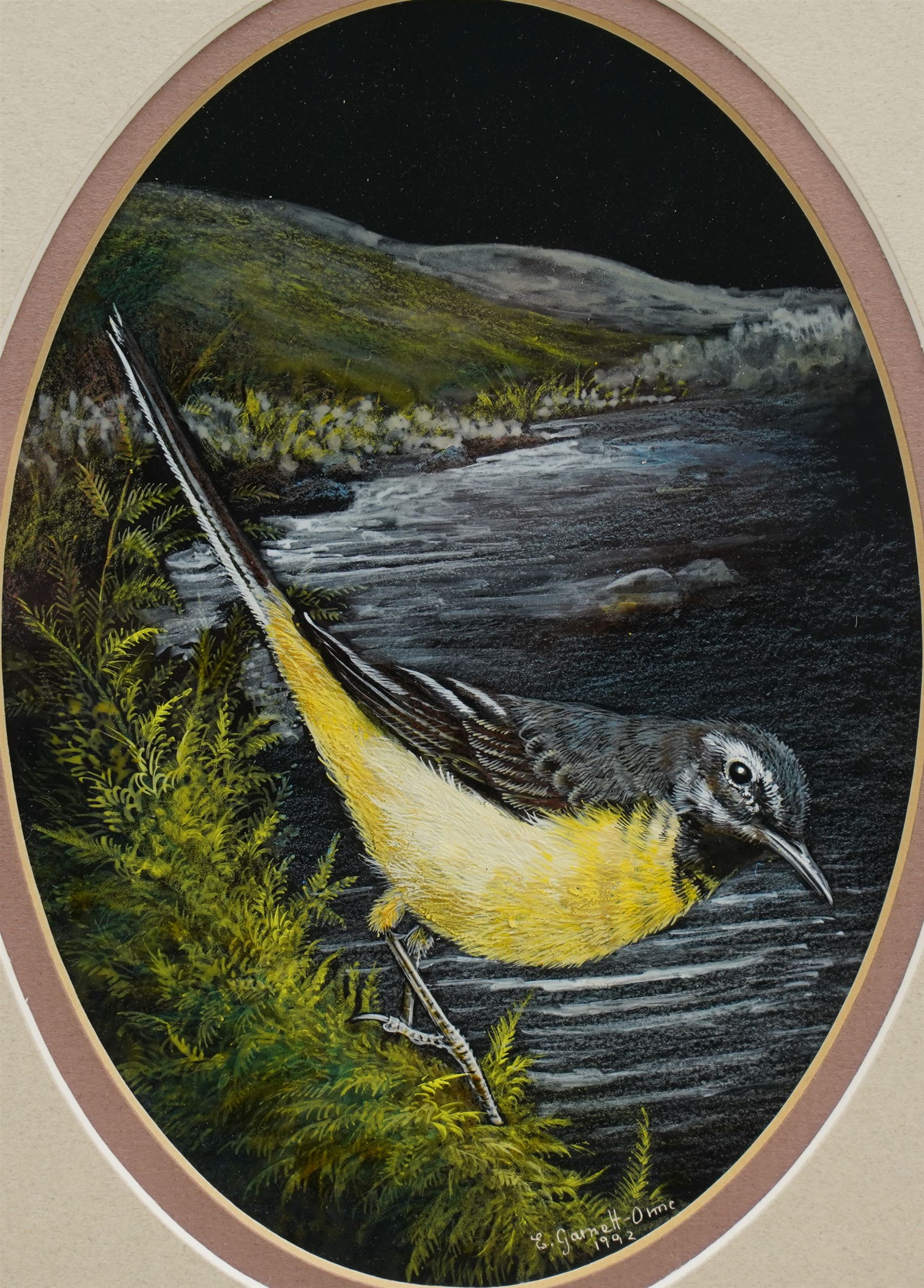 Liz Garnett Orme (British Contemporary): 'Grey Wagtail', gouache signed and dated 1992, 17cm x 13cm